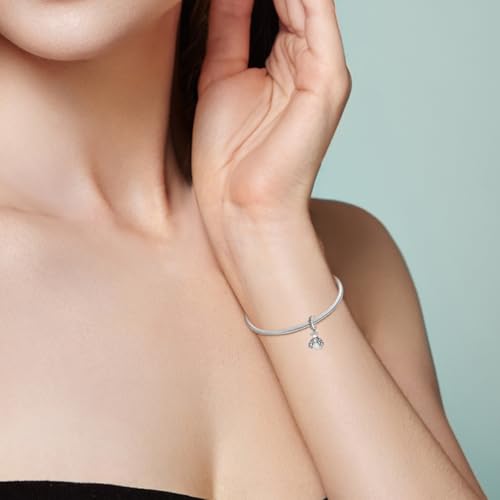 925 sterling silver bracelet necklace pendant, women's jewelry gift, dream catcher net bead pendant, suitable for original bracelets, parties, birthday jewelry gifts - color: KJC053