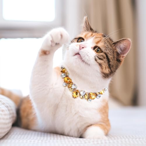 HOWWFALY Dog Collar and Cat Collar Gold Chain Necklace Stainless Steel Adjustable Yellow Diamonds Collar with Cute Pet Paw for Small Medium Pets Cats Dogs Kitten Puppy - color: Yellow, size: Large