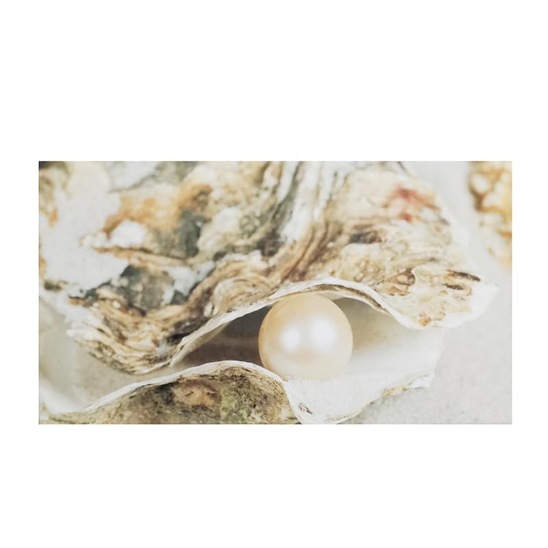 MilkyWay Wish Pearl Necklace Kit, DIY Necklace Making Kit, lotus Necklace Cage Locket Cultured Pearl in Oyster Set, 16.9", Surprise Gift For Wife, Girlfriend,Mother - color: Dolphin