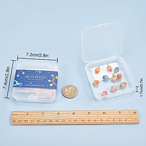 SUNNYCLUE 1 Box 10Pcs 5 Styles Dried Flower Charms Transparent Clear Epoxy Resin Pendants with Brass Hole 1.2mm Glass Micro Beads for DIY Earrings Bracelet Necklace Jewelry Accessories Gift Supplies