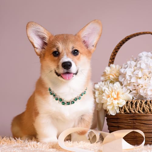 HOWWFALY Dog Collar and Cat Collar Gold Chain Necklace Stainless Steel Adjustable Green Rhinestones Collar with Cute Pet Paw for Small Medium Pets Cats Dogs Kitten Puppy (Green, L) - color: Green, size: Large