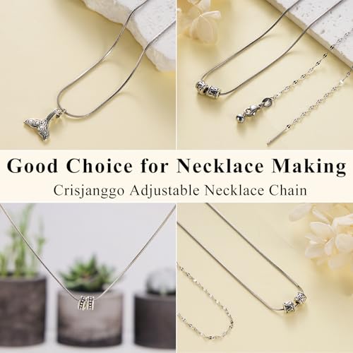 Crisjanggo 10 Pcs Adjustable Stainless Steel Chain Bulk 20 Inch Dainty Snake Necklace Chains with Lobster Clasps for Jewelry Making - color: Silver Snake