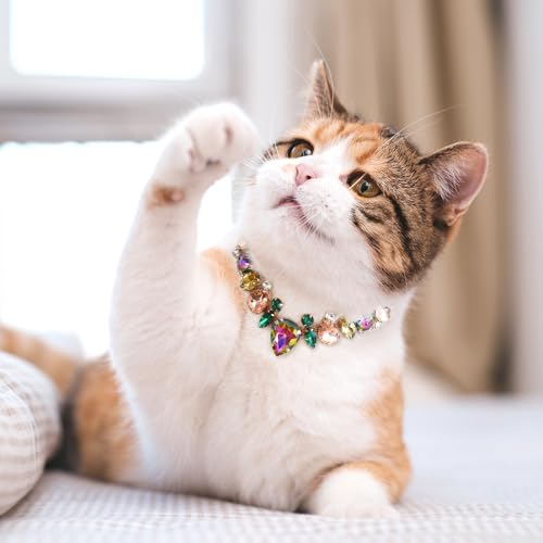HOWWFALY Dog Collar and Cat Collar Gold Chain Necklace Stainless Steel Adjustable Yellow Diamonds Collar with Cute Pet Paw for Small Medium Pets Cats Dogs Kitten Puppy - color: Muti, size: Large