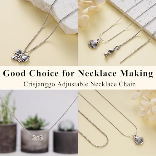 Crisjanggo 10 Pcs Adjustable Silver Necklace Chains Bulk Stainless Steel Chain for Jewelry Making with Lobster Clasps for Women - color: Silver Box