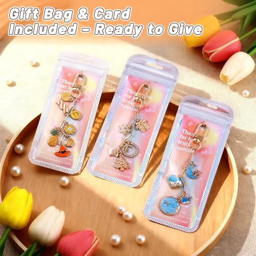 Wurosi 25 Set Paperclip Keychain Making Kit, Bag Charm Kit, 25 Keychain Clips, 25 Extender Chain, 25 Resealable Pouch Bag, 25 Thank You Cards, 5M Hemp Rope, Jewelry Making Kit for DIY Keyrings Charms - color: 25 Set Keychain Making Kit