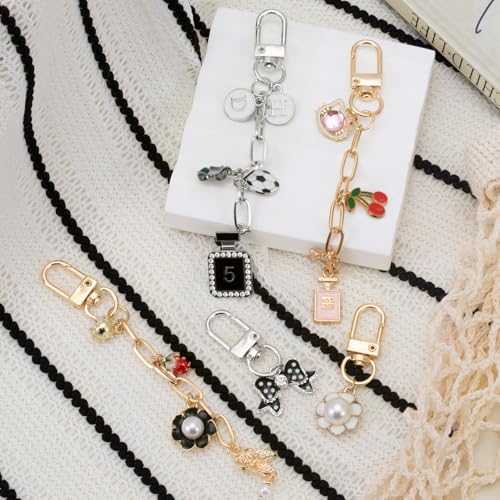 Hzopcw 20pcs Keychain Making Kit, Gold & Silver Key Ring Swivel Snap Hook Chains, Alloy Extender Keychain Bag Charm Kits for DIY Crafts Jewelry Making Handbag Purses- A Style - color: Gold & Silver-20pcs-A Style