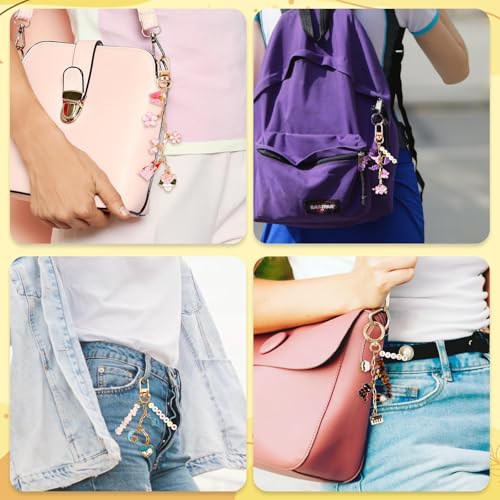 TOHONGADON 674 Pcs Lip Gloss Charms, Keychain Making Kit, Bag Charm Kit with 3 Kinds of Crystal Stones, 322 Charms, 12 Keychain Clips, Key Ring Jewelry Plier, Extender Chain for DIY Crafting - color: 674 Pcs Keychain