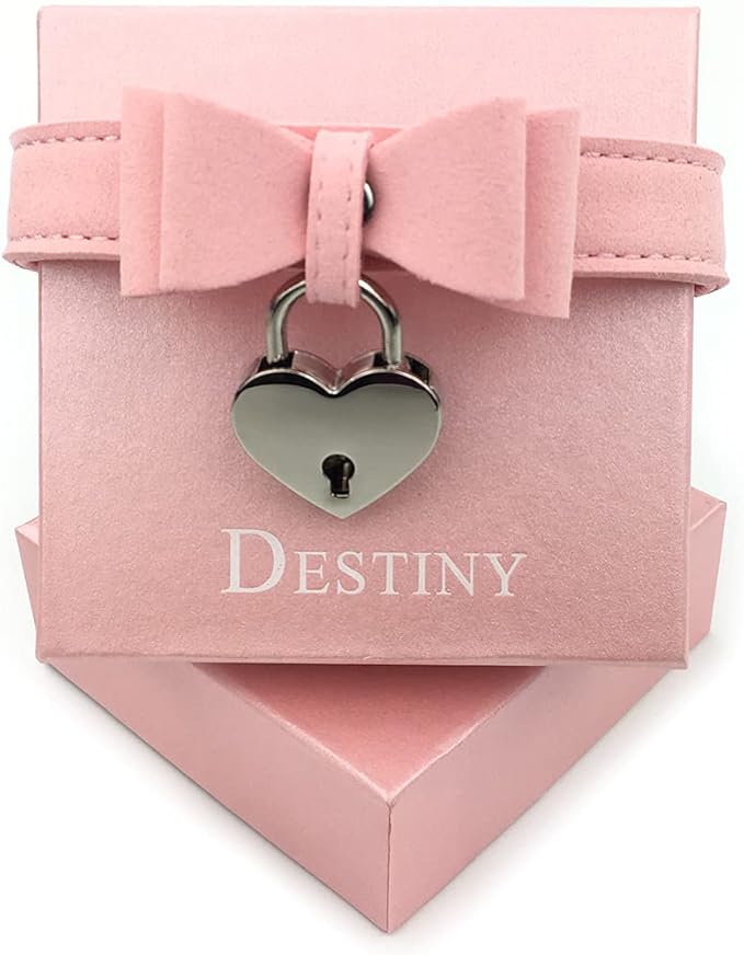 Destiny Love Bell Padlock Choker Collar Necklace Lolita Bow Collar Cat Kitty Velvet Necklace with Heart Lock and Key with Box for Women and Men