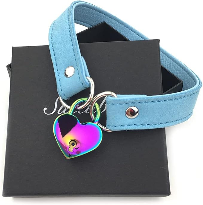 Succuba Padlock Choker Collar Necklace with Lock and Key Heart Lock Choker for Women and Men (G, 14)
