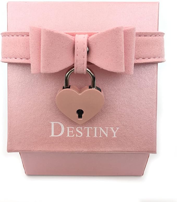 Destiny Love Bell Padlock Choker Collar Necklace Lolita Bow Collar Cat Kitty Velvet Necklace with Heart Lock and Key with Box for Women and Men