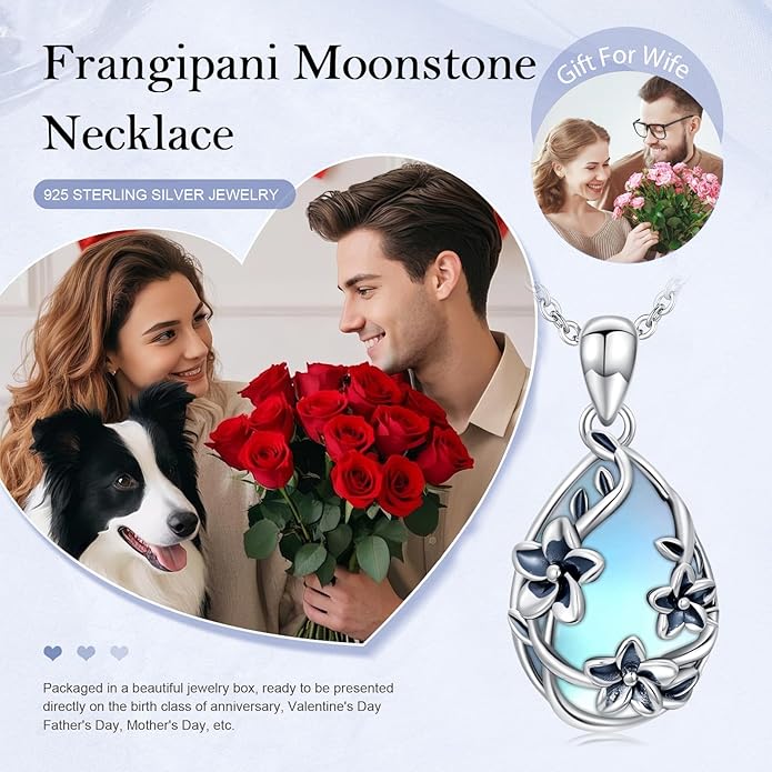 JUSTKIDSTOY Moonstone Necklace 925 Sterling Silver Teardrop Pendant Necklace Jewelry Gifts for Women Girls
