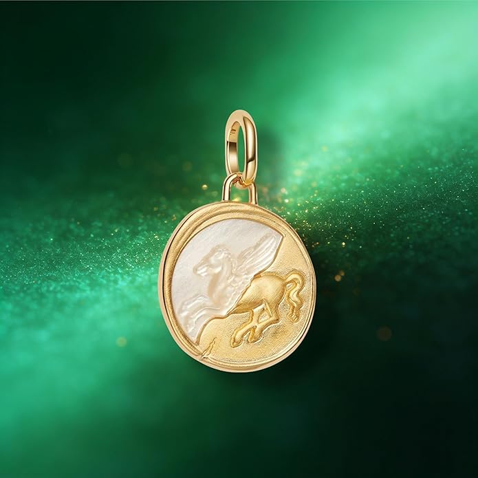 Fashion Charms Compatible for Bracelets,S925 Sterling Silver Charms,For Women Jewelry Present