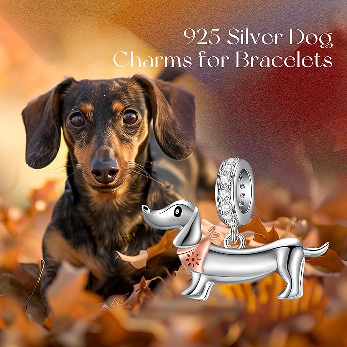 Charms for Bracelet 925 Sterling Silver Bearded Dragon/Dragonfly/Mother Daughter/Highland Cow/Dachshund Bead Gift for Women
