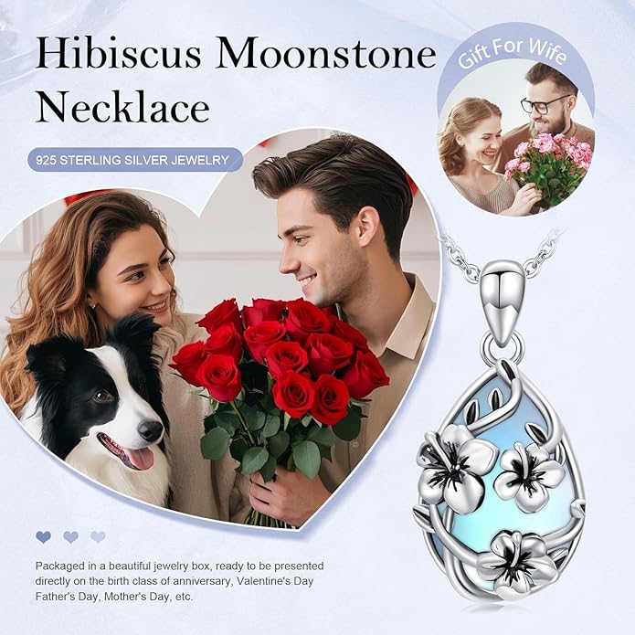 JUSTKIDSTOY Moonstone Necklace 925 Sterling Silver Teardrop Pendant Necklace Jewelry Gifts for Women Girls