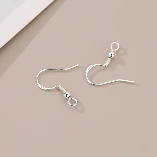 Earring Making Kits Silver Earring Hooks Hypoallergenic Ear Wires Fish Hook for DIY Jewelry Making Bulk Pack 600PCS - color: Silver