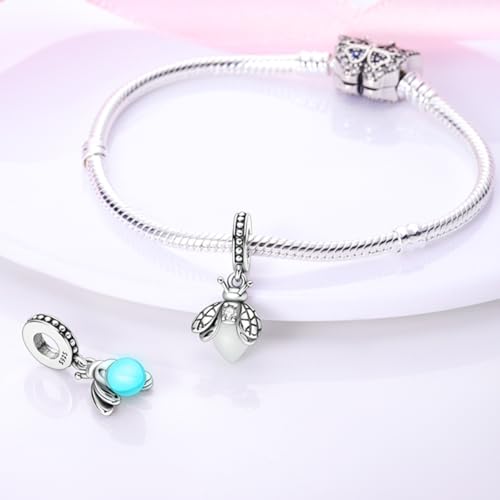 925 sterling silver bracelet necklace pendant, women's jewelry gift, dream catcher net bead pendant, suitable for original bracelets, parties, birthday jewelry gifts - color: KJC053