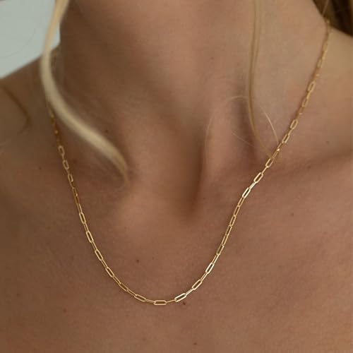 20 PCS Paperclip Chain Bracelet Necklace Kit Stainless Steel Charm Bulk Chains with Extender for DIY Jewelry Making Supplies Accessories (Gold + Steel - color: 2.5x6.5mm Gold Silver