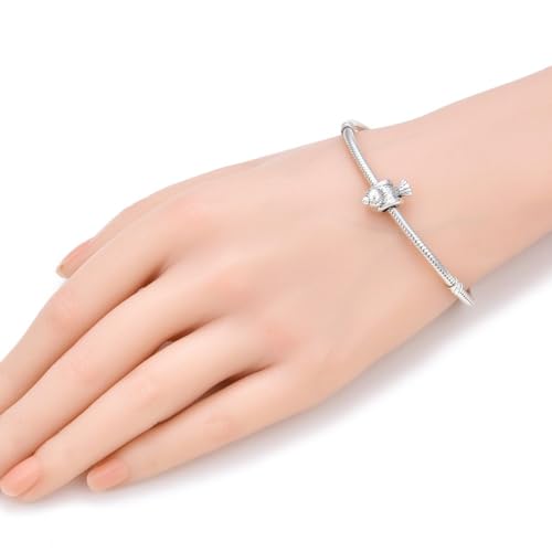 20pcs Cute Bird Symbol of Freedom and Hope Large Hole Animal Loose Beads (4.5mm Hole) Antique Silver Metal Spacer for DIY Craft Jewelry Making MEC-A9 - size: Bird