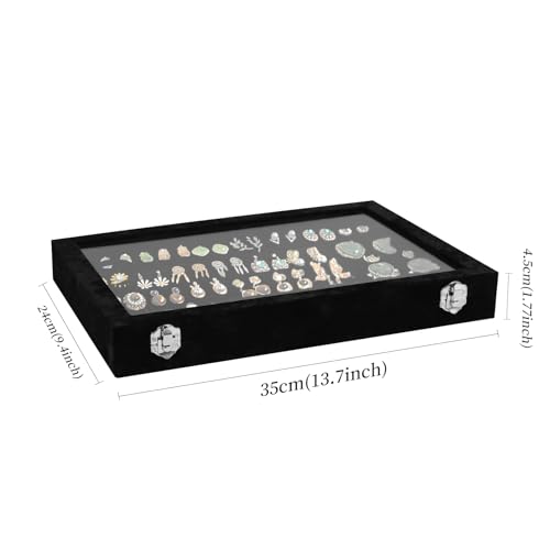 Wudygirl Earring Organizer Tray Jewelry Organizer 32 Pairs Earring Box Organizer Black Velvet Jewelry Display Case with Transparent Lid(Black Earring Storage) - style: Earrings Tray