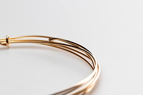 22 Gauge, 14K Solid Yellow Gold Wire Soft Round Made in USA - 1FT by CRAFT WIRE - size: 22 Gauge, style: 1 Foot