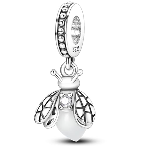 925 sterling silver bracelet necklace pendant, women's jewelry gift, dream catcher net bead pendant, suitable for original bracelets, parties, birthday jewelry gifts - color: KJC053