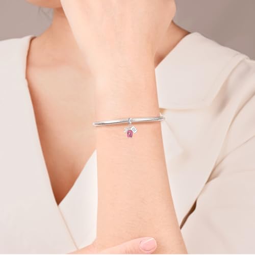925 sterling silver bracelet necklace pendant, women's jewelry gift, dream catcher net bead pendant, suitable for original bracelets, parties, birthday jewelry gifts - color: PAC291