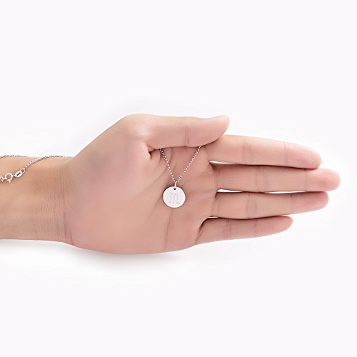 925 Sterling Silver Zodiac Necklace Disc Charm Necklace Gift for Your Wife Girlfriend or Family Member - style: Cancer