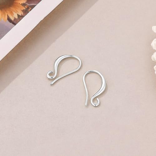 Earring Hooks, 230PCS Silver Earring Findings for Jewelry Making Hypoallergenic Ear Wires for DIY Bulk Pack - color: Silver-Thick Earring Hooks