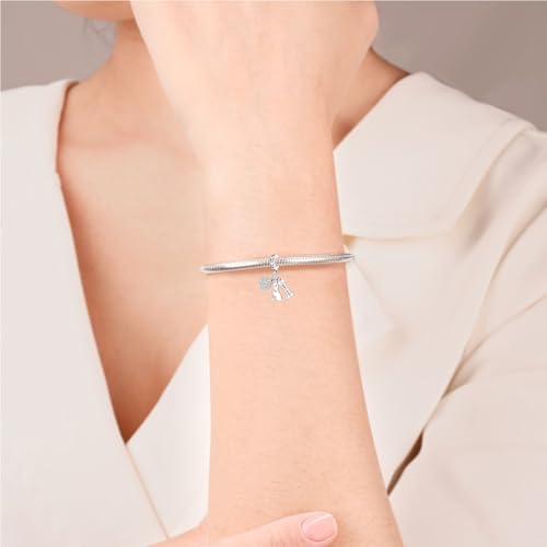 925 sterling silver bracelet necklace pendant, women's jewelry gift, dream catcher net bead pendant, suitable for original bracelets, parties, birthday jewelry gifts - color: KJC519