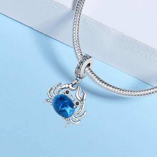 925 sterling silver bracelet necklace pendant, women's jewelry gift, dream catcher net bead pendant, suitable for original bracelets, parties, birthday jewelry gifts - color: PAC020