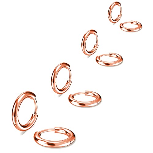 316L Surgical Stainless Steel Small Hoop Earrings 8mm 10mm 12mm 14mm Hypoallergenic Huggie Hoop Earrings Helix Lobes Hinged Sleeper Earrings Cartilage Piercings - color: J: Rose Gold (Diameter 8mm/10mm/12mm/14mm),4 Pairs