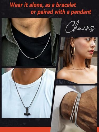 FaithHeart Stainless Steel Chains for Men, Silver/Black/14K Gold Plated Snake/Wheat/Box/Rope/Rolo Chain Necklace 16-30 Inches with Delicate Gift Box - color: 01. Snake Chain-Silver, size: Length 22 Inches