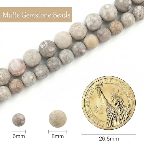 Stone Beads, 60pcs Matte Flowery Cowry Fossil, 6mm Round Loose Beads for Jewelry Making, Bracelets, with Bag, String & Card - color: Matte Flowery Cowry Fossil, size: 6mm