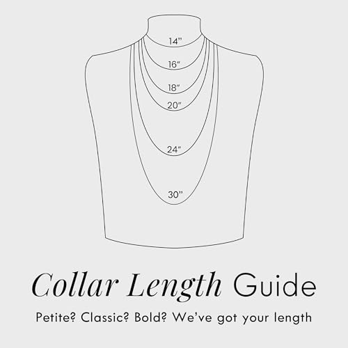 Destin Jewelry Paperclip Chain Necklace for Women, Waterproof 18K Gold Plated Stainless Steel, Hypoallergenic, Adjustable Layering Chain, Tarnish-Resistant, 2.5–6.5mm - color: Stainless Steel, size: 20" + 2", style: 2.5 MM