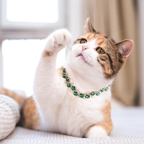 HOWWFALY Dog Collar and Cat Collar Gold Chain Necklace Stainless Steel Adjustable Green Rhinestones Collar with Cute Pet Paw for Small Medium Pets Cats Dogs Kitten Puppy (Green, M) - color: Green, size: Medium