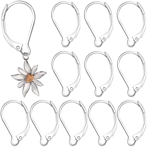12pcs Leverback Earring Hooks, Hypoallergenic Stainless Steel French Earring Clasps, D-Ring Ear Wire Findings for Jewelry Making- Silver - color: Silver-12pcs