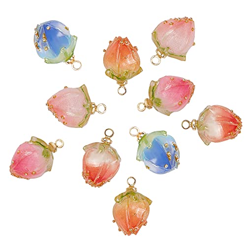 SUNNYCLUE 1 Box 10Pcs 5 Styles Dried Flower Charms Transparent Clear Epoxy Resin Pendants with Brass Hole 1.2mm Glass Micro Beads for DIY Earrings Bracelet Necklace Jewelry Accessories Gift Supplies