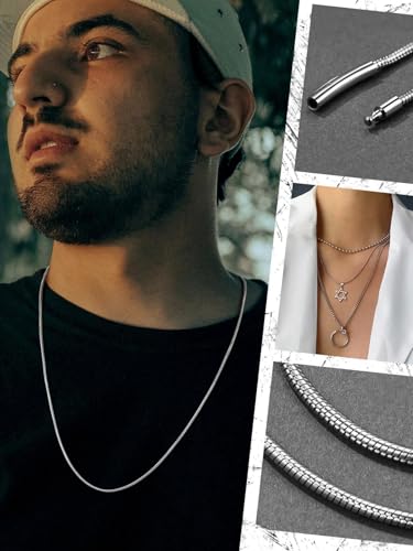 FaithHeart Stainless Steel Chains for Men, Silver/Black/14K Gold Plated Snake/Wheat/Box/Rope/Rolo Chain Necklace 16-30 Inches with Delicate Gift Box - color: 01. Snake Chain-Silver, size: Length 24 Inches