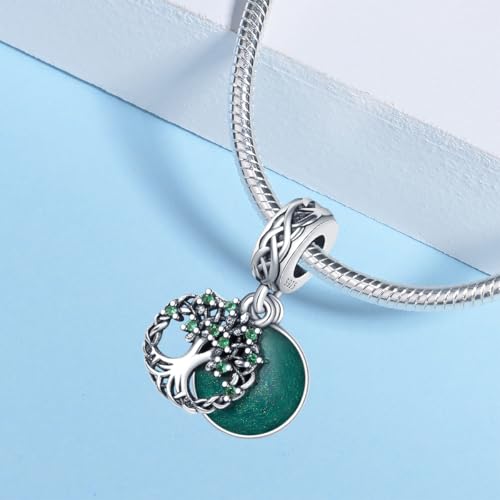 925 sterling silver bracelet necklace pendant, women's jewelry gift, dream catcher net bead pendant, suitable for original bracelets, parties, birthday jewelry gifts - color: PAC024