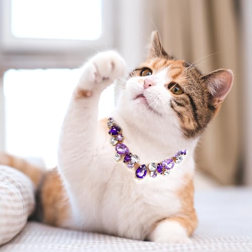 HOWWFALY Dog Collar and Cat Collar Gold Chain Necklace Stainless Steel Adjustable Purple Diamonds Collar with Cute Pet Paw for Small Medium Pets Cats Dogs Kitten Puppy(Purple, M) - color: Purple, size: Medium