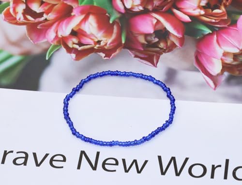 Round Glass Beads Penta Angel 2200Pcs 2mm Mini Craft Loose Spacer Pony Beads for Earring Bracelets Necklace Waist Beads Jewelry Making (Royal Blue) - color: Royal Blue