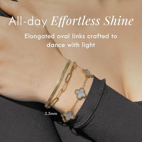 Destin Jewelry Paperclip Chain Necklace for Women, Waterproof 18K Gold Plated Stainless Steel, Hypoallergenic, Adjustable Layering Chain, Tarnish-Resistant, 2.5–6.5mm - color: 18K Yellow Gold Plated Stainless Steel, size: 7", style: 2.5 MM