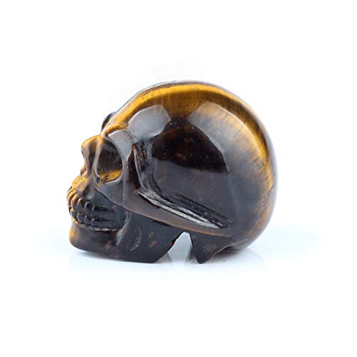 50mm Tiger Eye Natural Stone Carved Skulls Reiki Healing Statue Collectible Figurine (Yellow Tiger Eye) - color: Tiger Eye