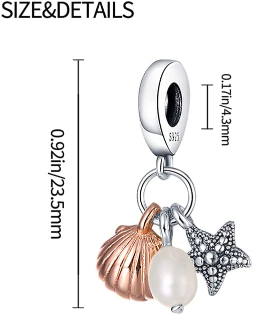 LIGHTDOG 925 Sterling Silver Charm fits Pandora Charm Bracelet Necklaces Pendant Bead Charms Jewelry Gift for Women Family Friends