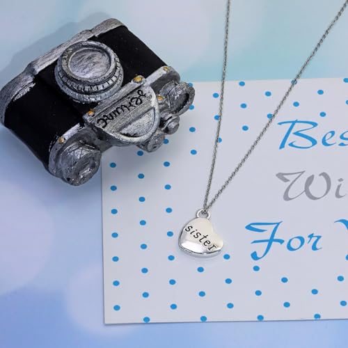 Shapenty Antique Silver Love Heart Shaped Family Members Pendant Charms for DIY Craft Keychains Bracelet Necklace Earrings Jewelry Making Findings and Memory Ornament - style: Sister