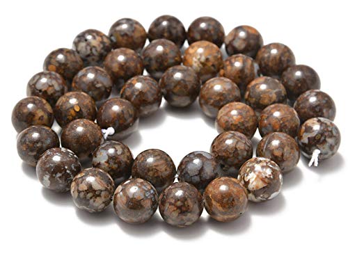 AD Beads Natural Gemstone Smooth Round Loose Beads 15“ 6mm 8mm 10mm (6mm, Snail Fossils) - color: Snail Fossils, size: 6mm