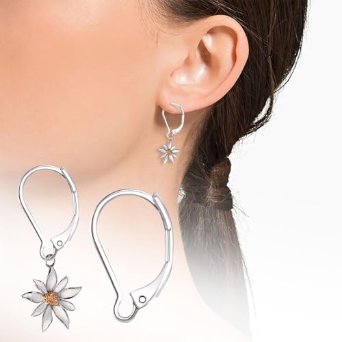 12pcs Leverback Earring Hooks, Hypoallergenic Stainless Steel French Earring Clasps, D-Ring Ear Wire Findings for Jewelry Making- Silver - color: Silver-12pcs