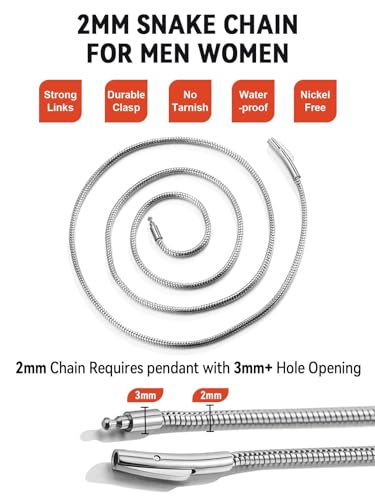 FaithHeart Stainless Steel Chains for Men, Silver/Black/14K Gold Plated Snake/Wheat/Box/Rope/Rolo Chain Necklace 16-30 Inches with Delicate Gift Box - color: 01. Snake Chain-Silver, size: Length 20 Inches