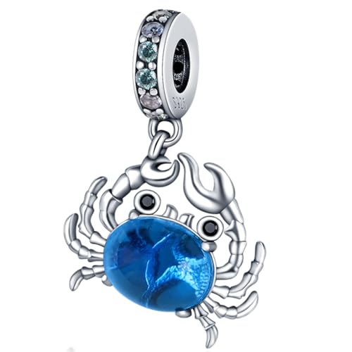 925 sterling silver bracelet necklace pendant, women's jewelry gift, dream catcher net bead pendant, suitable for original bracelets, parties, birthday jewelry gifts - color: PAC020