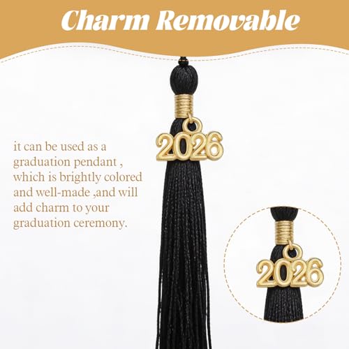 120 PCS 2026 Year Charms, Mini Signet Charms Zinc Alloy Graduation Tassel Pendants for DIY Jewelry Making Necklace Bracelet Keychain Decoration(Gold and Silver)